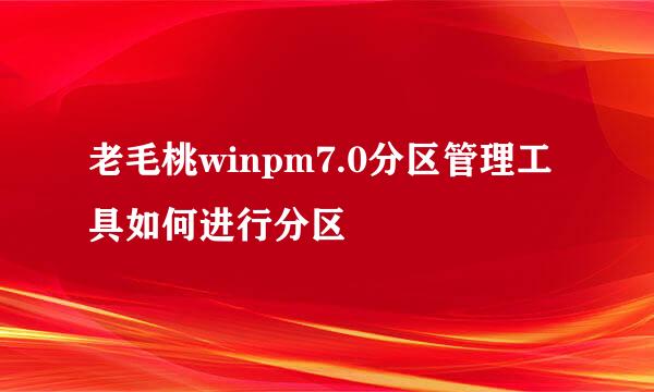 老毛桃winpm7.0分区管理工具如何进行分区