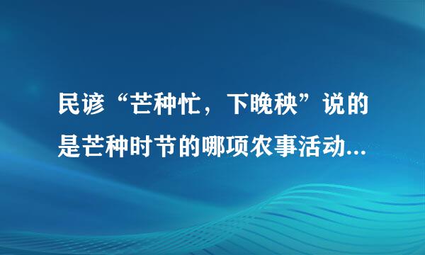 民谚“芒种忙，下晚秧”说的是芒种时节的哪项农事活动？蚂蚁庄园2024年6月5日问题答案