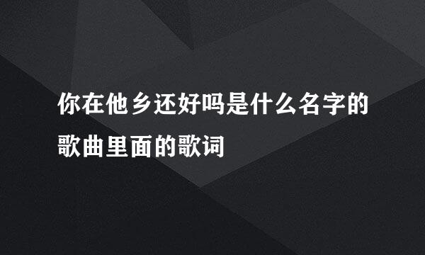 你在他乡还好吗是什么名字的歌曲里面的歌词