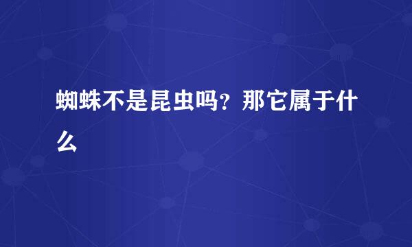 蜘蛛不是昆虫吗？那它属于什么