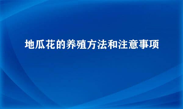 地瓜花的养殖方法和注意事项