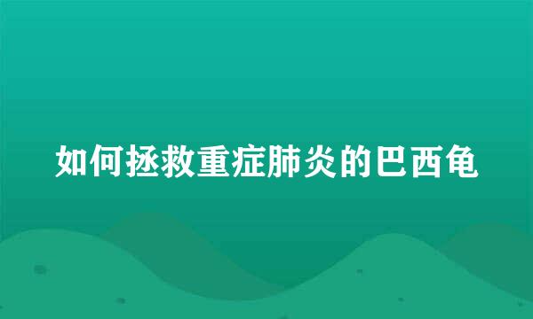 如何拯救重症肺炎的巴西龟