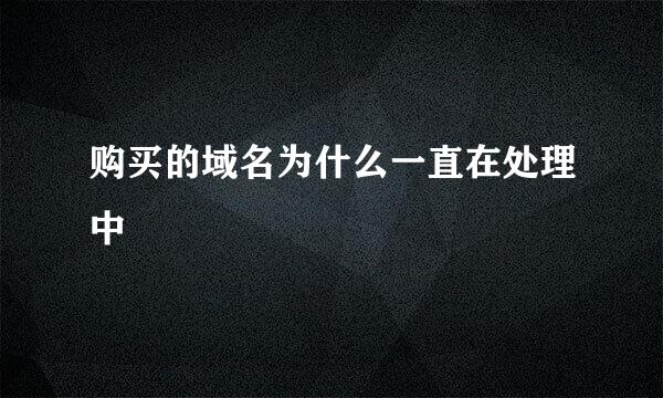 购买的域名为什么一直在处理中