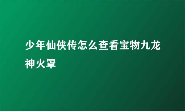 少年仙侠传怎么查看宝物九龙神火罩