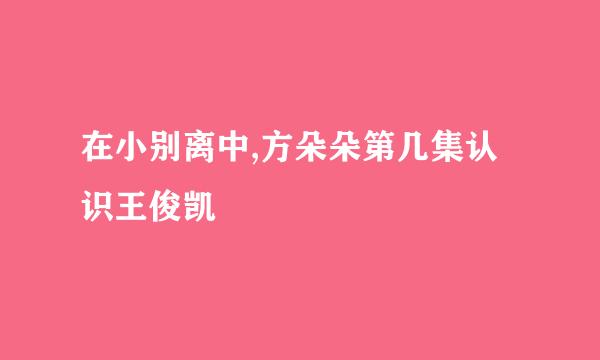 在小别离中,方朵朵第几集认识王俊凯