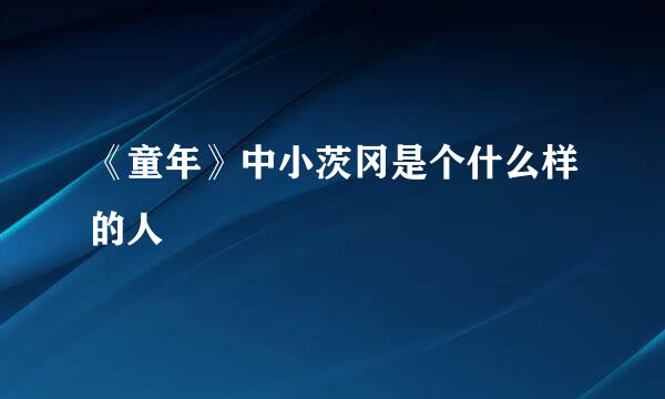 《童年》中小茨冈是个什么样的人