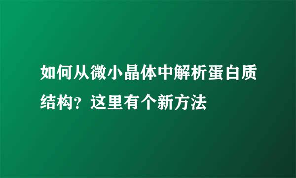 如何从微小晶体中解析蛋白质结构？这里有个新方法