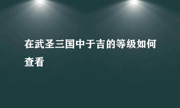 在武圣三国中于吉的等级如何查看