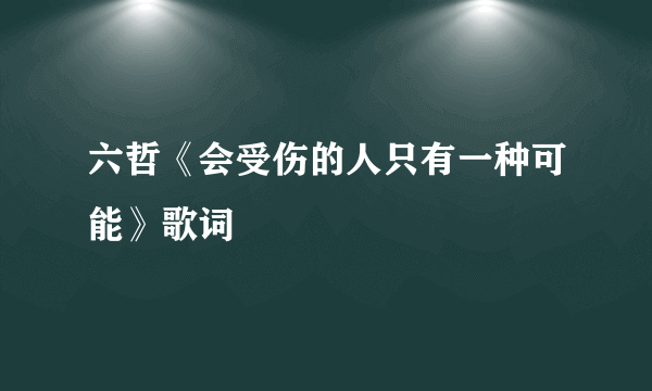 六哲《会受伤的人只有一种可能》歌词