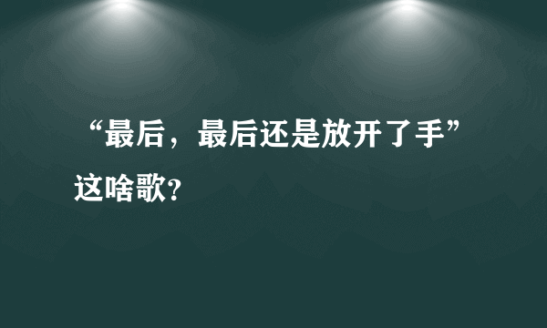 “最后，最后还是放开了手”这啥歌？