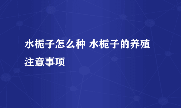 水栀子怎么种 水栀子的养殖注意事项