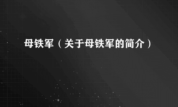 母铁军（关于母铁军的简介）