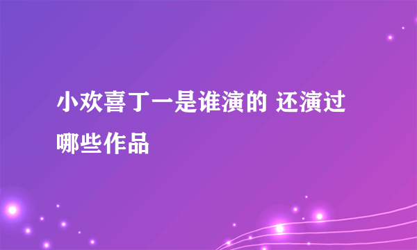 小欢喜丁一是谁演的 还演过哪些作品