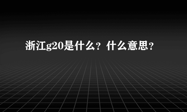 浙江g20是什么？什么意思？