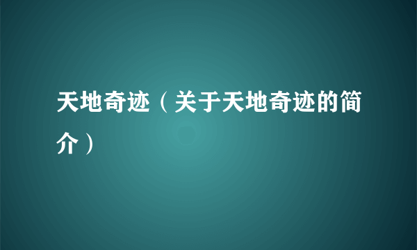 天地奇迹（关于天地奇迹的简介）