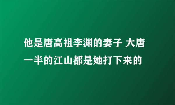 他是唐高祖李渊的妻子 大唐一半的江山都是她打下来的