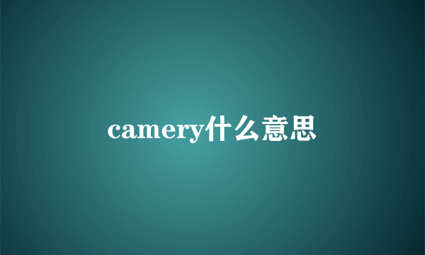 camery什么意思