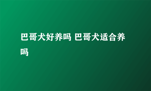 巴哥犬好养吗 巴哥犬适合养吗