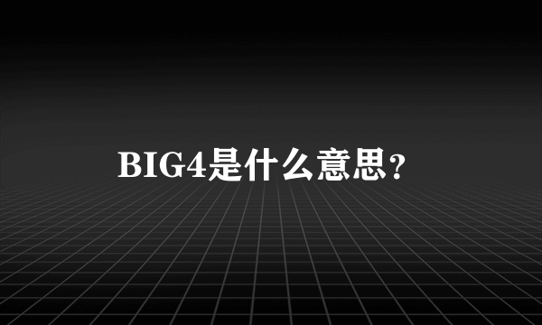 BIG4是什么意思？