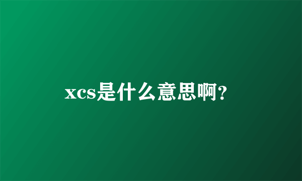 xcs是什么意思啊？