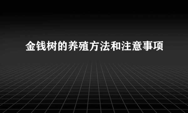 金钱树的养殖方法和注意事项