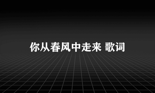 你从春风中走来 歌词