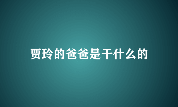 贾玲的爸爸是干什么的