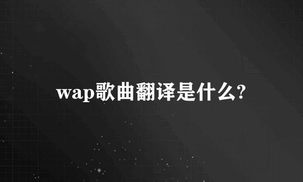 wap歌曲翻译是什么?