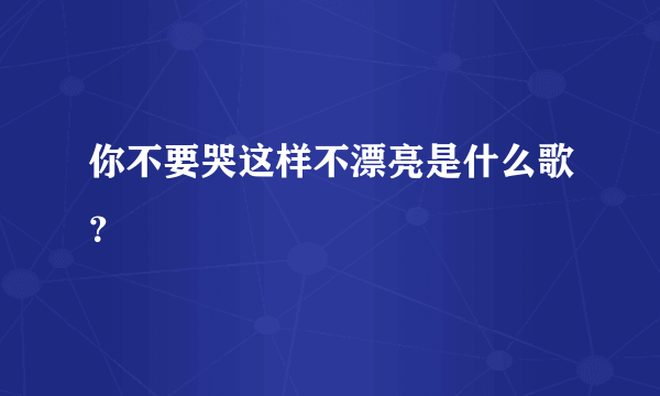 你不要哭这样不漂亮是什么歌？