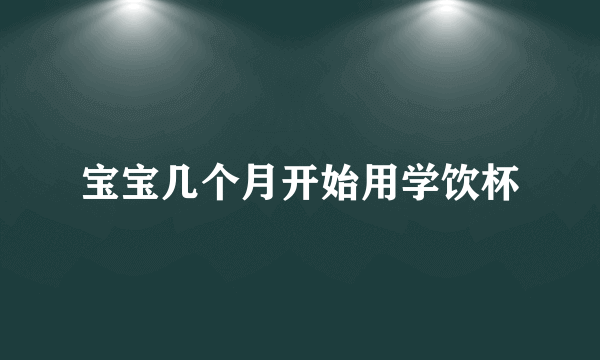 宝宝几个月开始用学饮杯