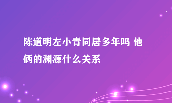 陈道明左小青同居多年吗 他俩的渊源什么关系