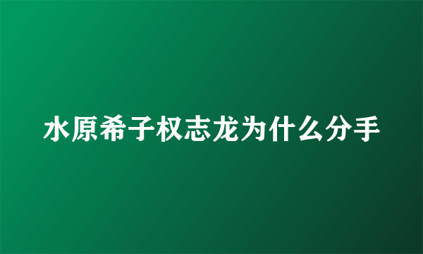 水原希子权志龙为什么分手