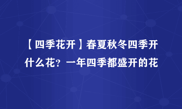 【四季花开】春夏秋冬四季开什么花？一年四季都盛开的花