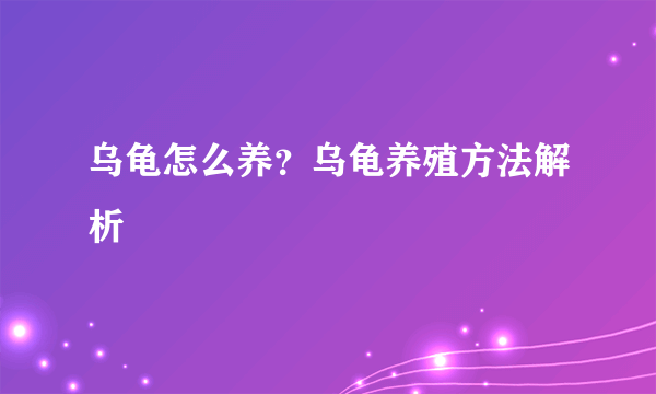 乌龟怎么养？乌龟养殖方法解析