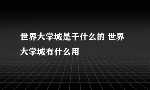 世界大学城是干什么的 世界大学城有什么用