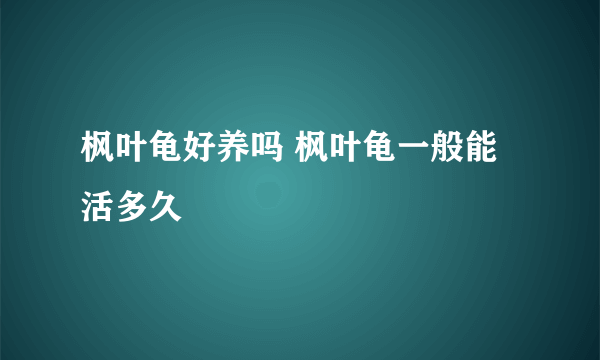 枫叶龟好养吗 枫叶龟一般能活多久