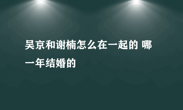 吴京和谢楠怎么在一起的 哪一年结婚的