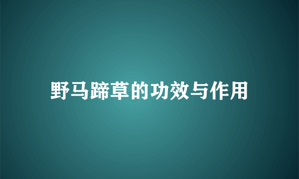 野马蹄草的功效与作用