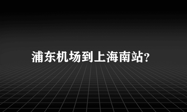 浦东机场到上海南站？