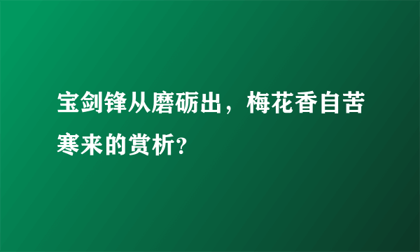 宝剑锋从磨砺出，梅花香自苦寒来的赏析？