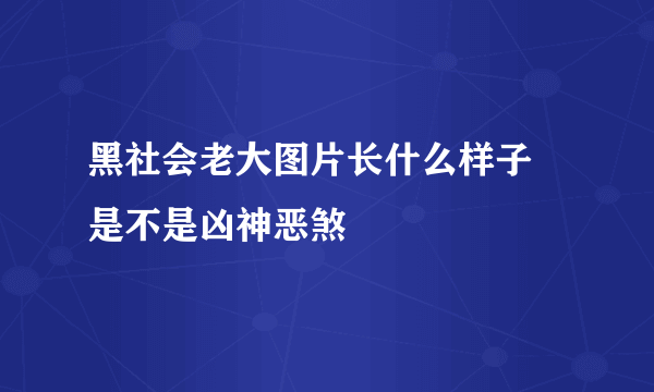 黑社会老大图片长什么样子 是不是凶神恶煞 