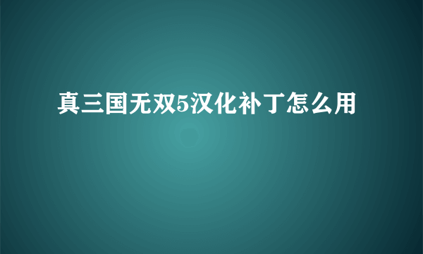 真三国无双5汉化补丁怎么用