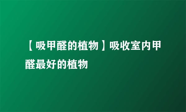 【吸甲醛的植物】吸收室内甲醛最好的植物