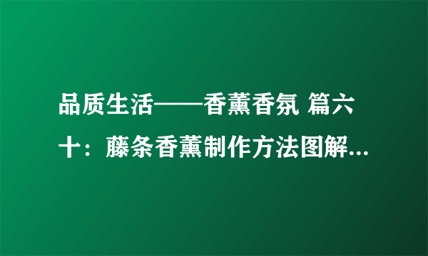 品质生活——香薰香氛 篇六十：藤条香薰制作方法图解，自己在家怎么做？