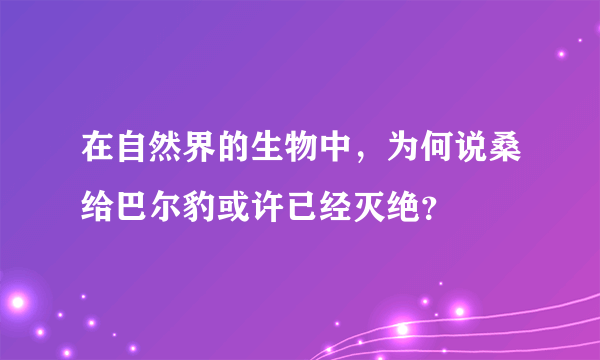 在自然界的生物中，为何说桑给巴尔豹或许已经灭绝？