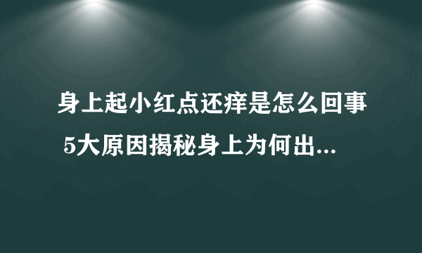 身上起小红点还痒是怎么回事 5大原因揭秘身上为何出现小红点还痒