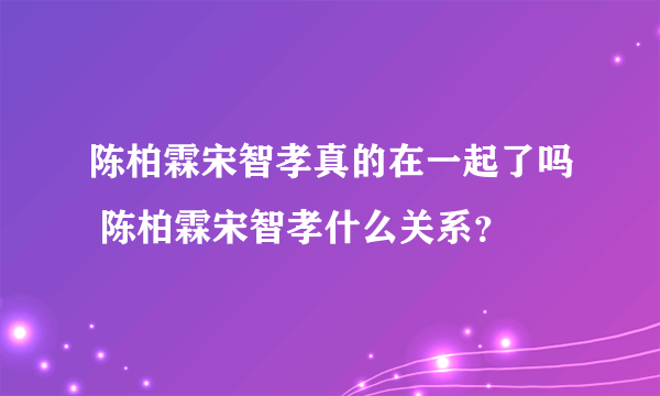 陈柏霖宋智孝真的在一起了吗 陈柏霖宋智孝什么关系？