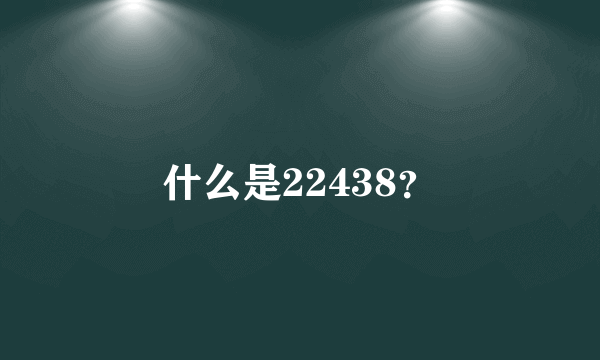 什么是22438？