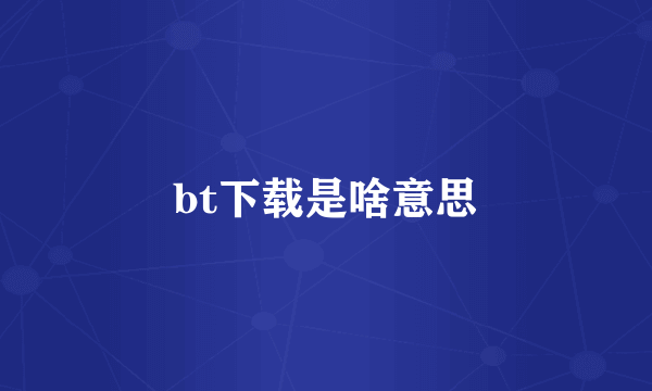 bt下载是啥意思