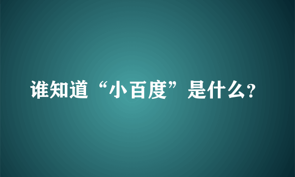 谁知道“小百度”是什么？